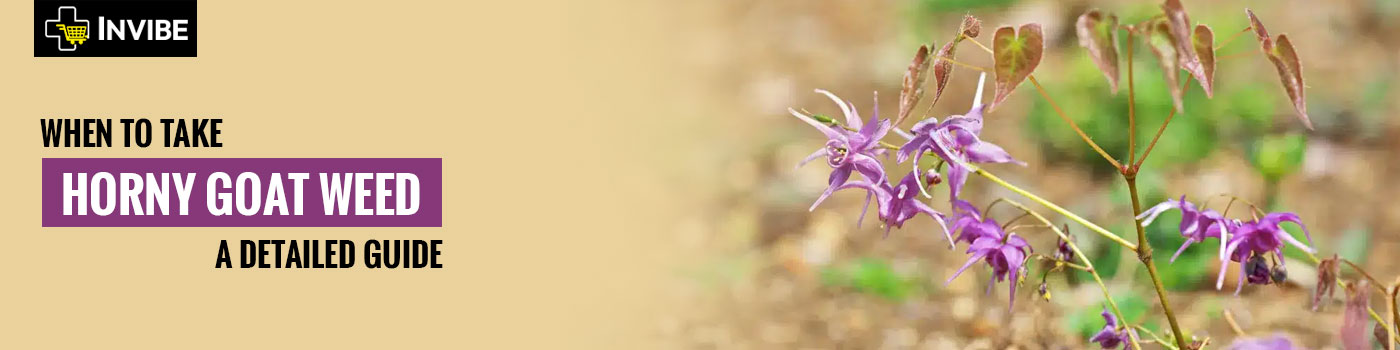 When to Take Horny Goat Weed - A Detailed Guide